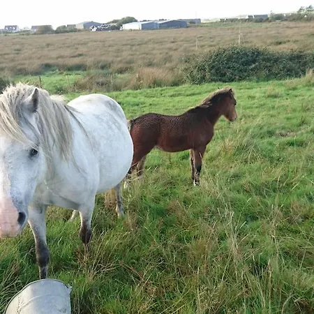 Apartman Peaceful Haven On The Wild Atlantic Way