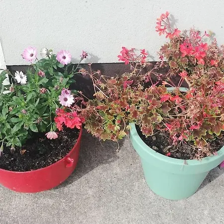 Peaceful Haven On The Wild Atlantic Way Apartman *