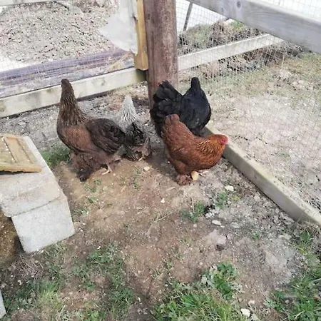 Peaceful Haven On The Wild Atlantic Way