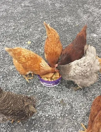 Peaceful Haven On The Wild Atlantic Way Apartmán *