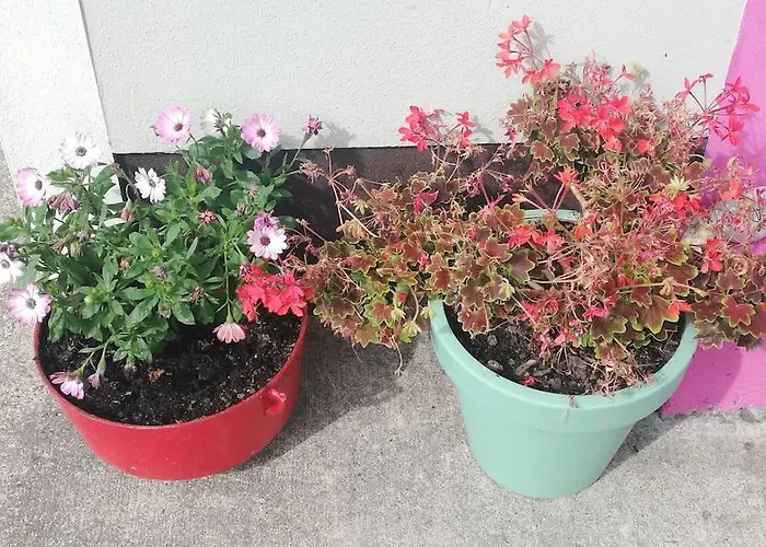 Peaceful Haven On The Wild Atlantic Way Apartmán *