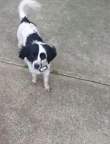 Apartmán Peaceful Haven On The Wild Atlantic Way