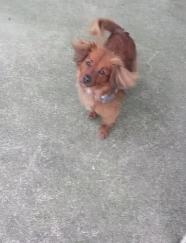 Apartmán Peaceful Haven On The Wild Atlantic Way