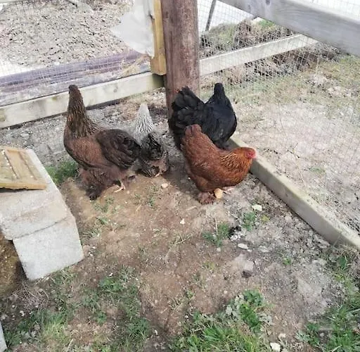 Peaceful Haven On The Wild Atlantic Way